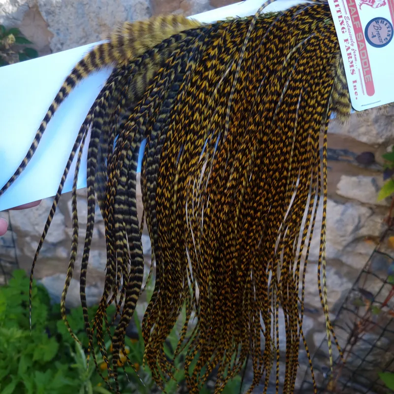 Whiting 1/2 BRONZE Grade Dry Fly Rooster Saddle in Grizzly Dyed Golden Olive